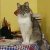 Отзыв от Динара Петровская